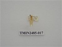 藏品(半明苔蛾)的圖片